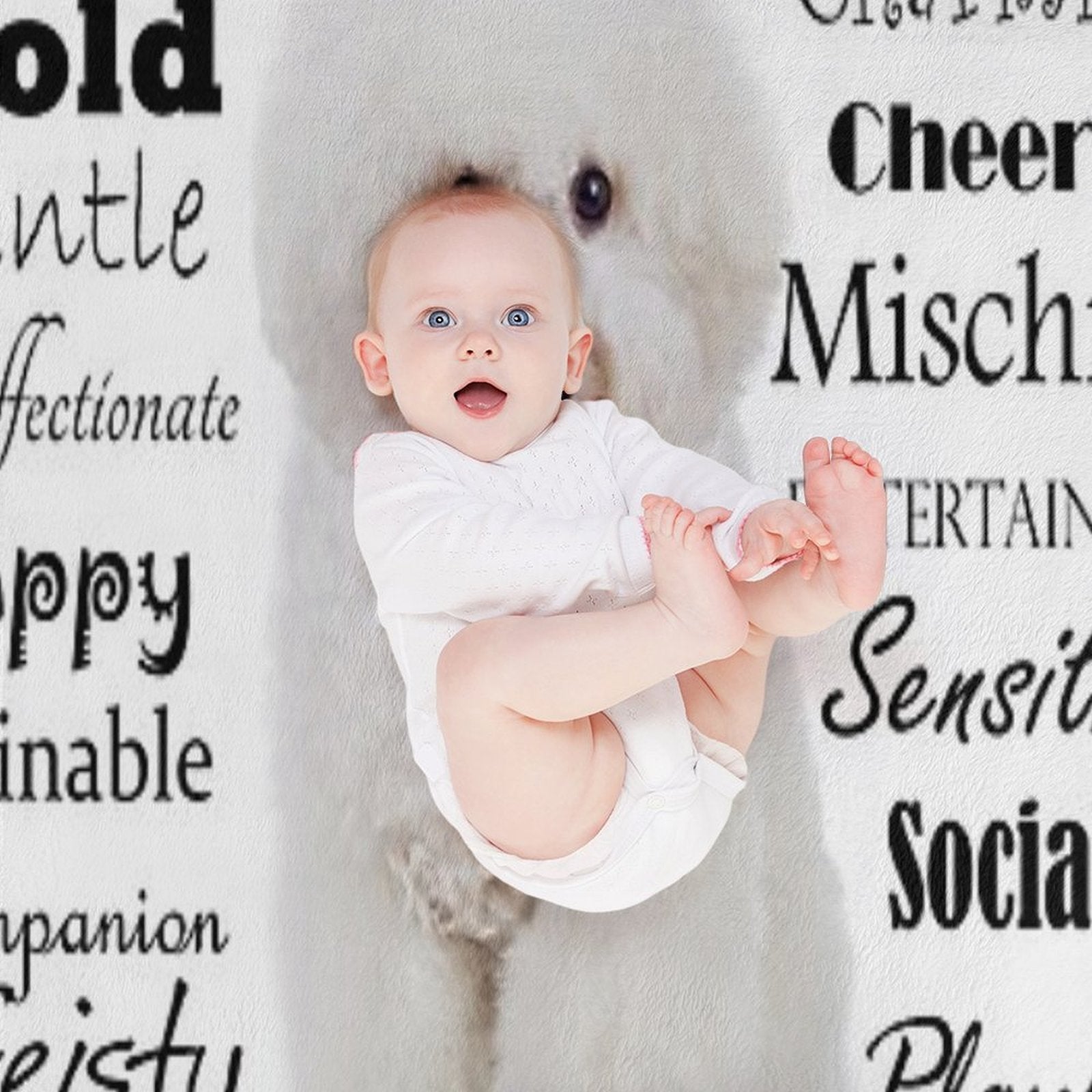Bichon Frise Traits Easy Care Throw Blanket
