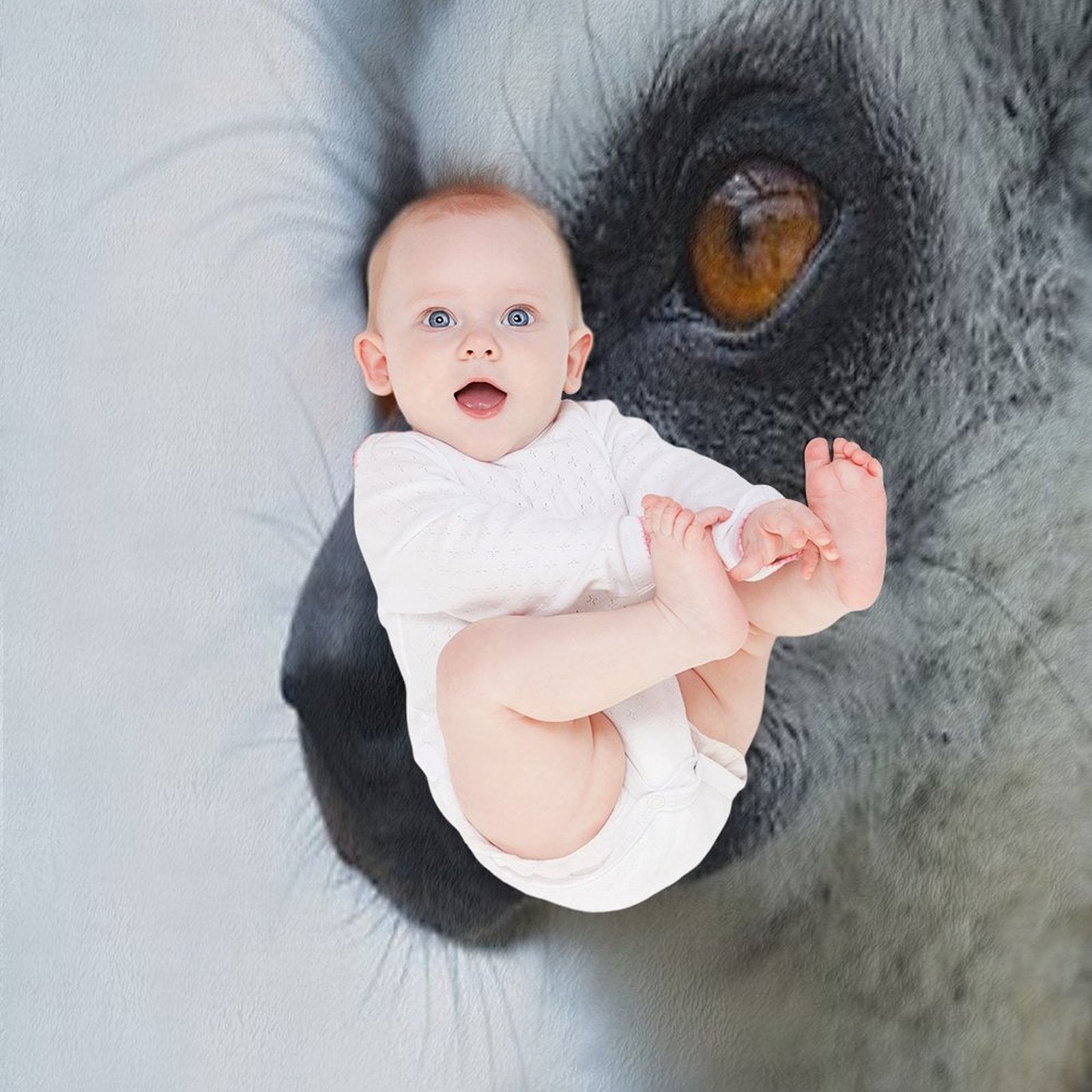 Lemur Portrait – Close-up Wildlife Photography Plush Throw Blanket