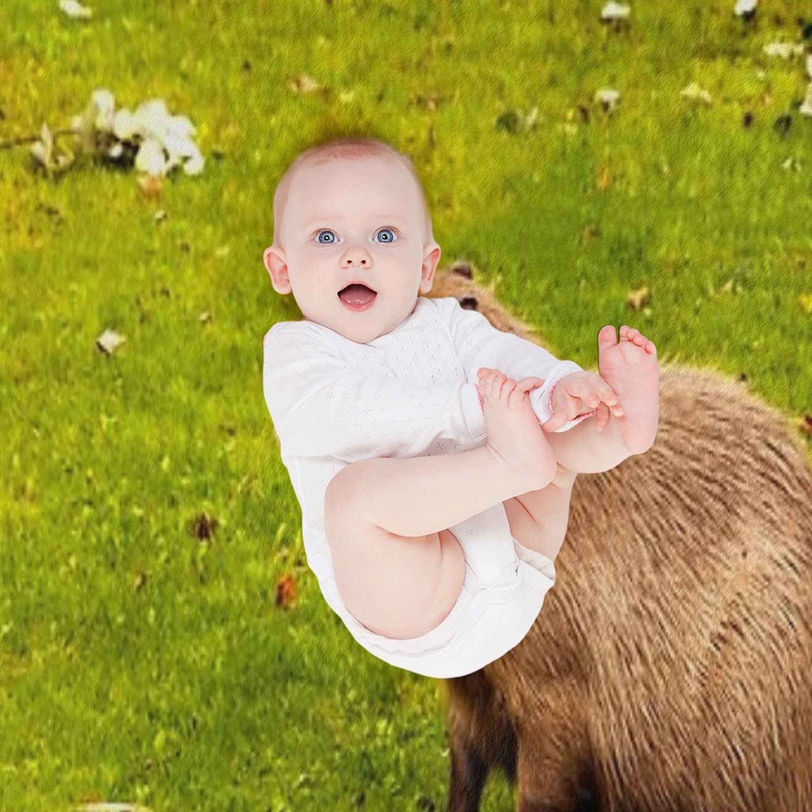 Capybara Eco-conscious Throw Blanket