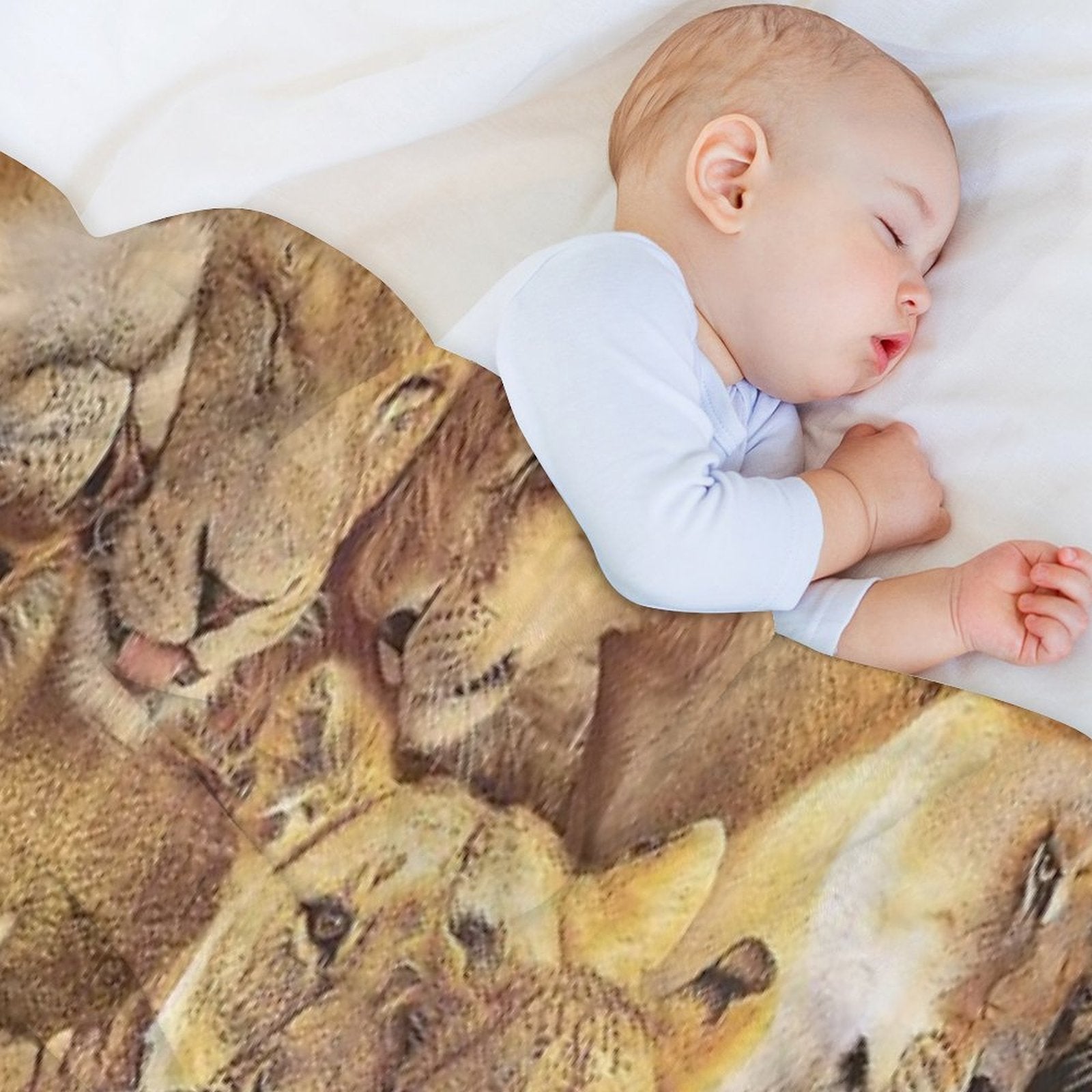 Lions Lightweight Throw Blanket