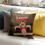 Ayrton Senna Art Soft Anti-Pilling Throw Pillow