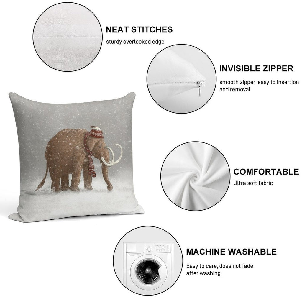 The Ice Age Sucked Soft Skin-Friendly Throw Pillow