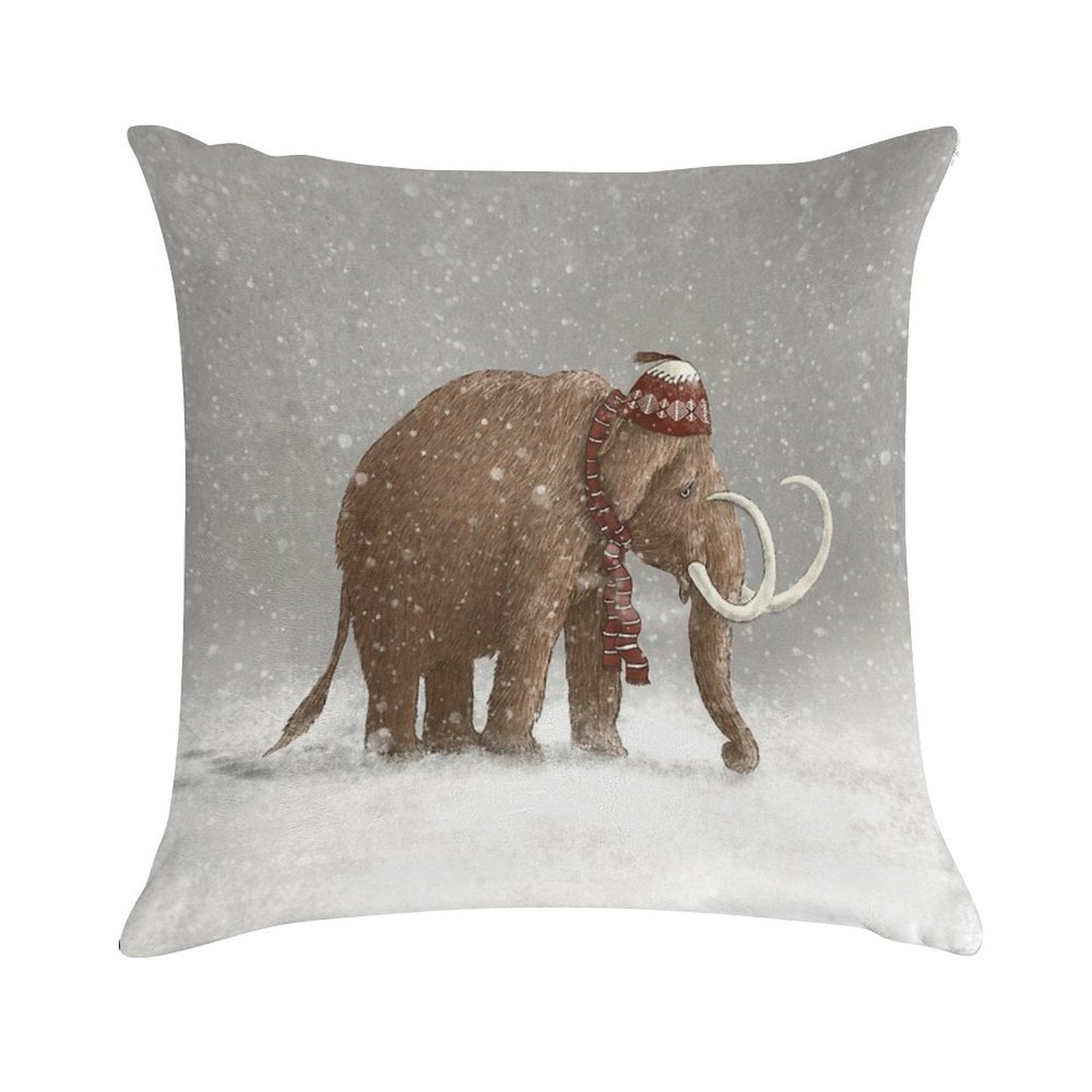 The Ice Age Sucked Soft Skin-Friendly Throw Pillow