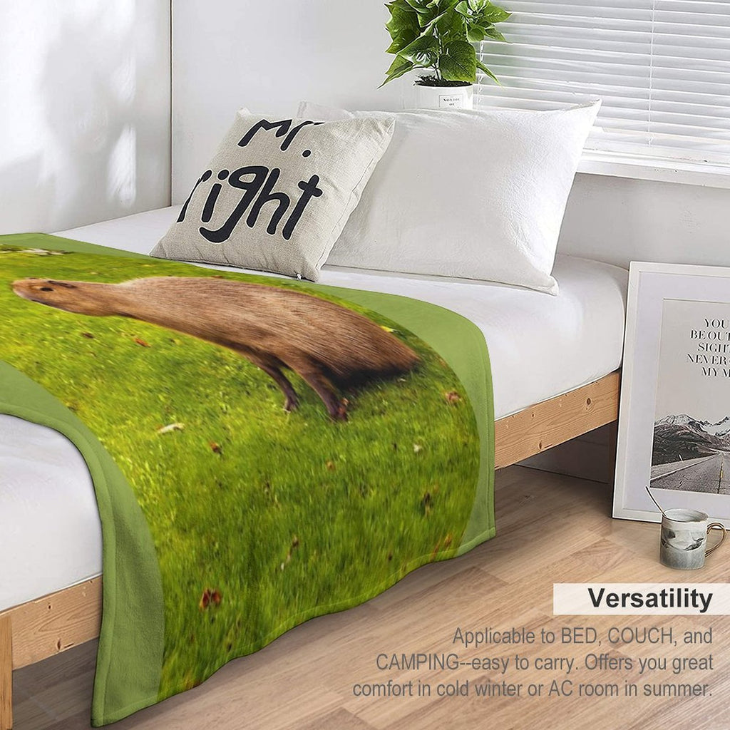 Capybara Eco-conscious Throw Blanket
