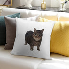 Spinning Oiia Oiia Cat Soft Shrink-Resistant Throw Pillow
