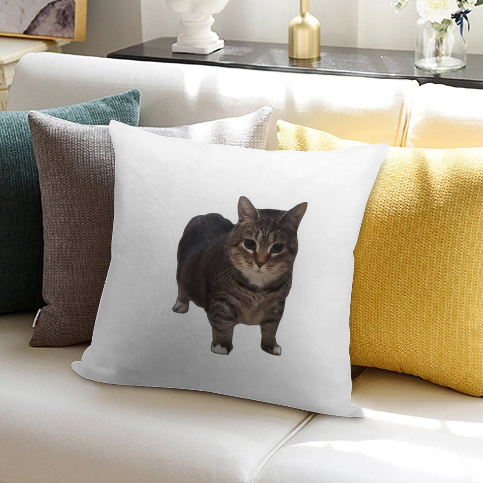 Spinning Oiia Oiia Cat Soft Shrink-Resistant Throw Pillow
