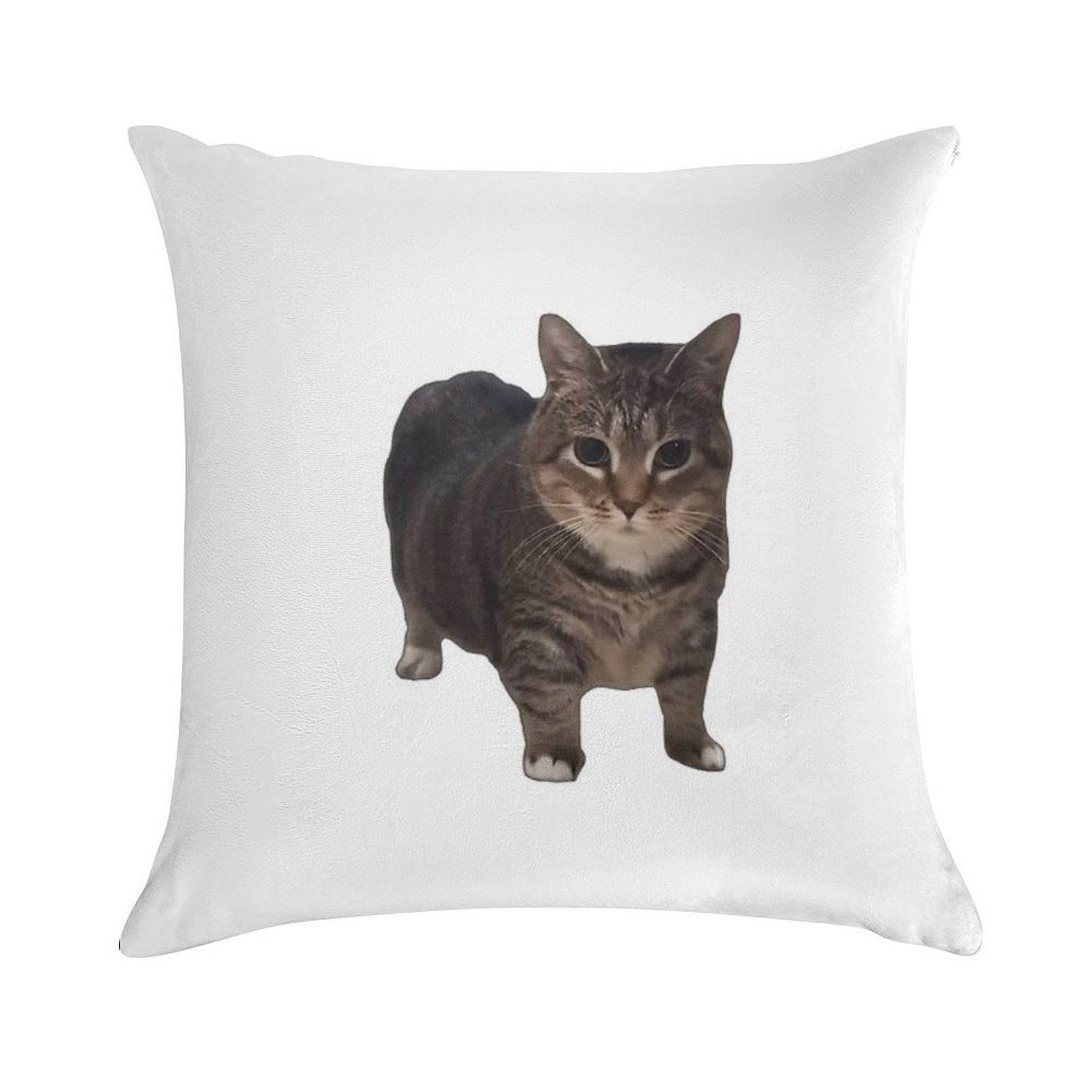 Spinning Oiia Oiia Cat Soft Shrink-Resistant Throw Pillow