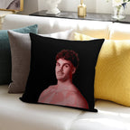 Herbie Farnworth Dolphins Red Posterised Soft Bedroom Essential Throw Pillow