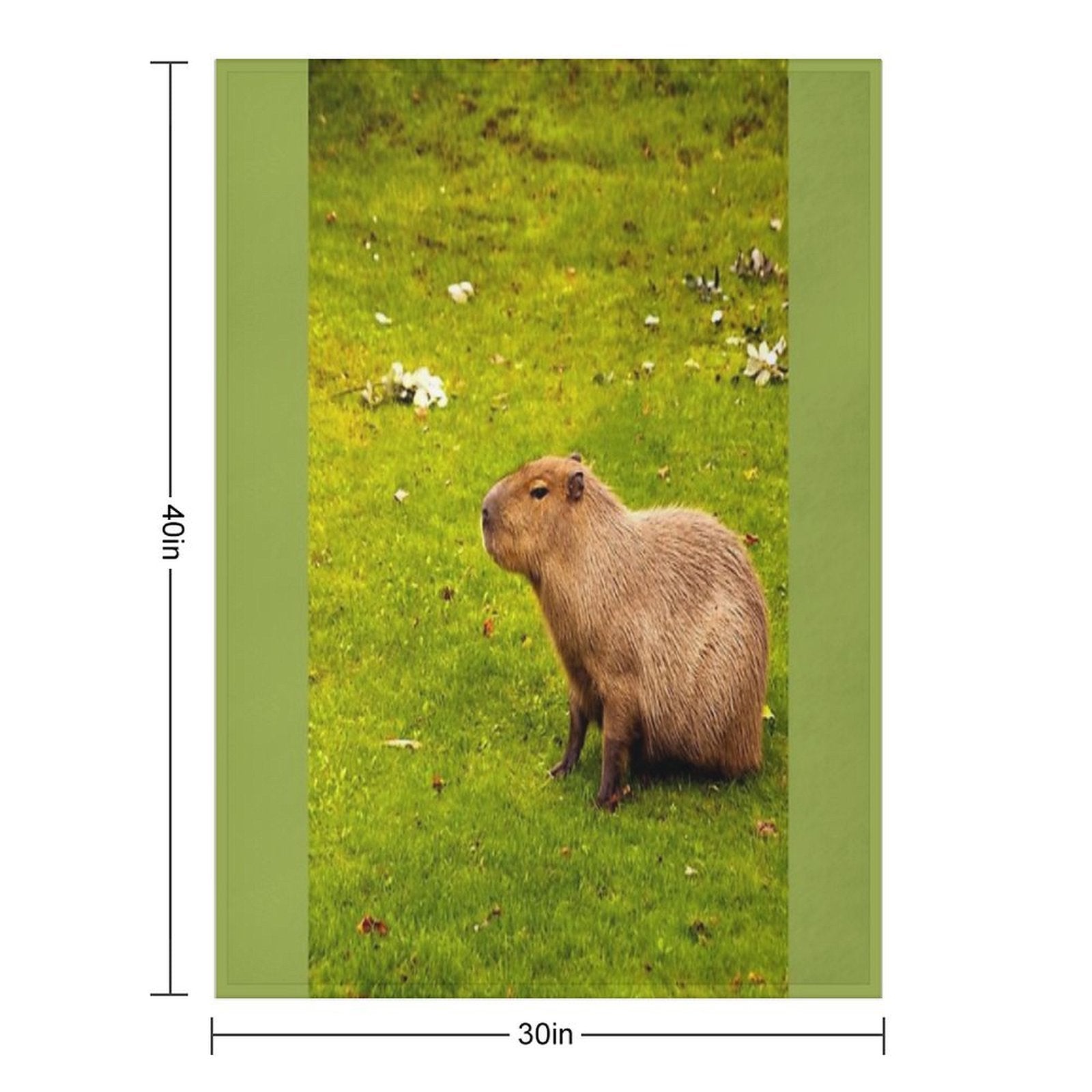 Capybara Eco-conscious Throw Blanket