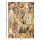 Lions Lightweight Throw Blanket