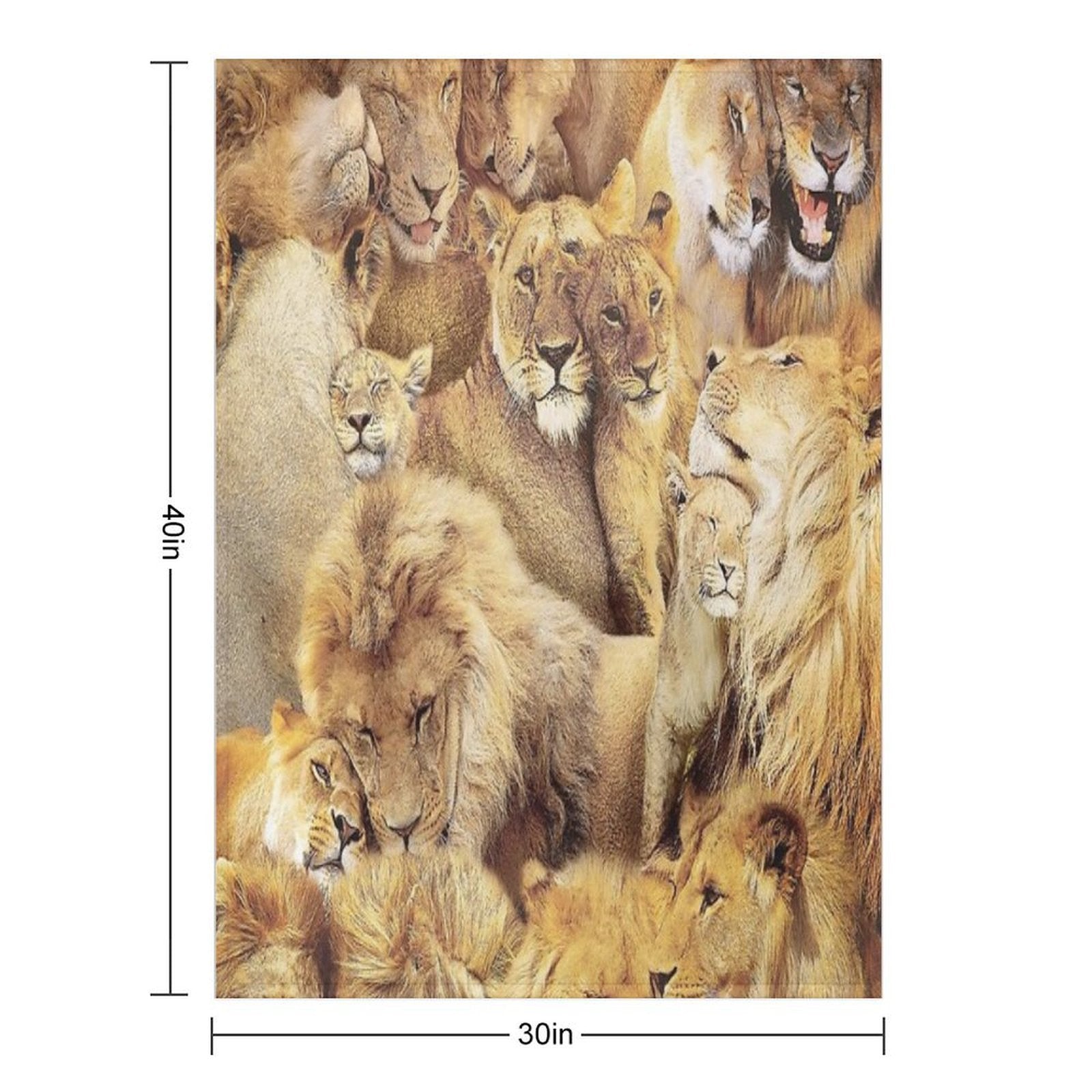 Lions Lightweight Throw Blanket