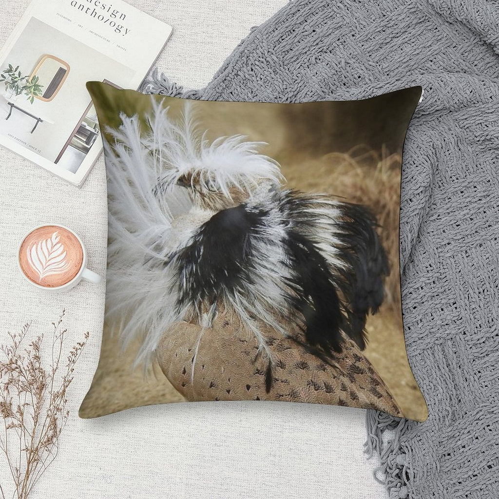 Courtship Dance of The Male Asian Houbara Bustard Soft Multiple Sizes Throw Pillow