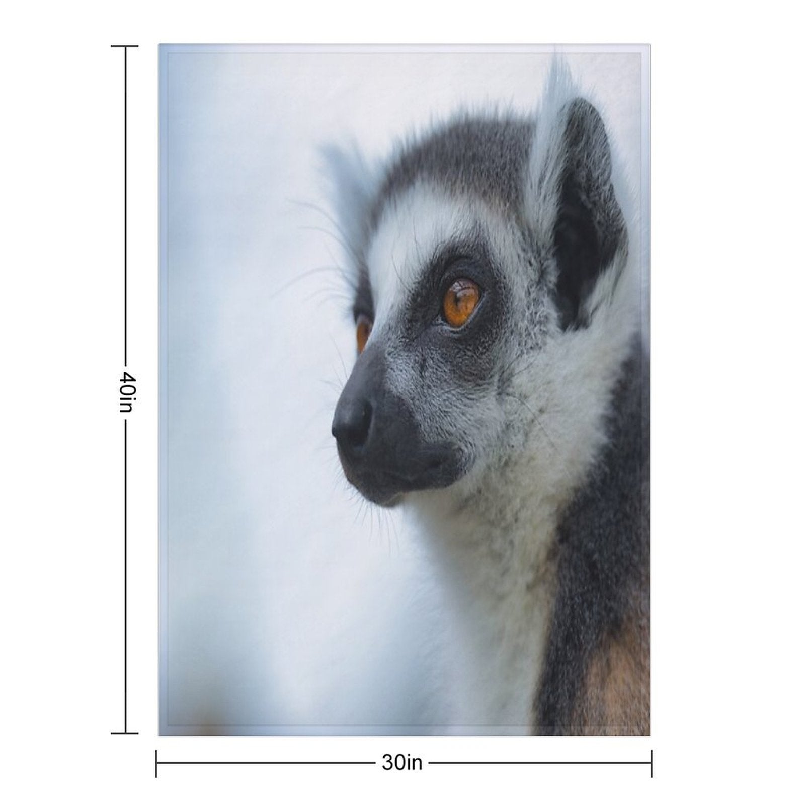 Lemur Portrait – Close-up Wildlife Photography Plush Throw Blanket
