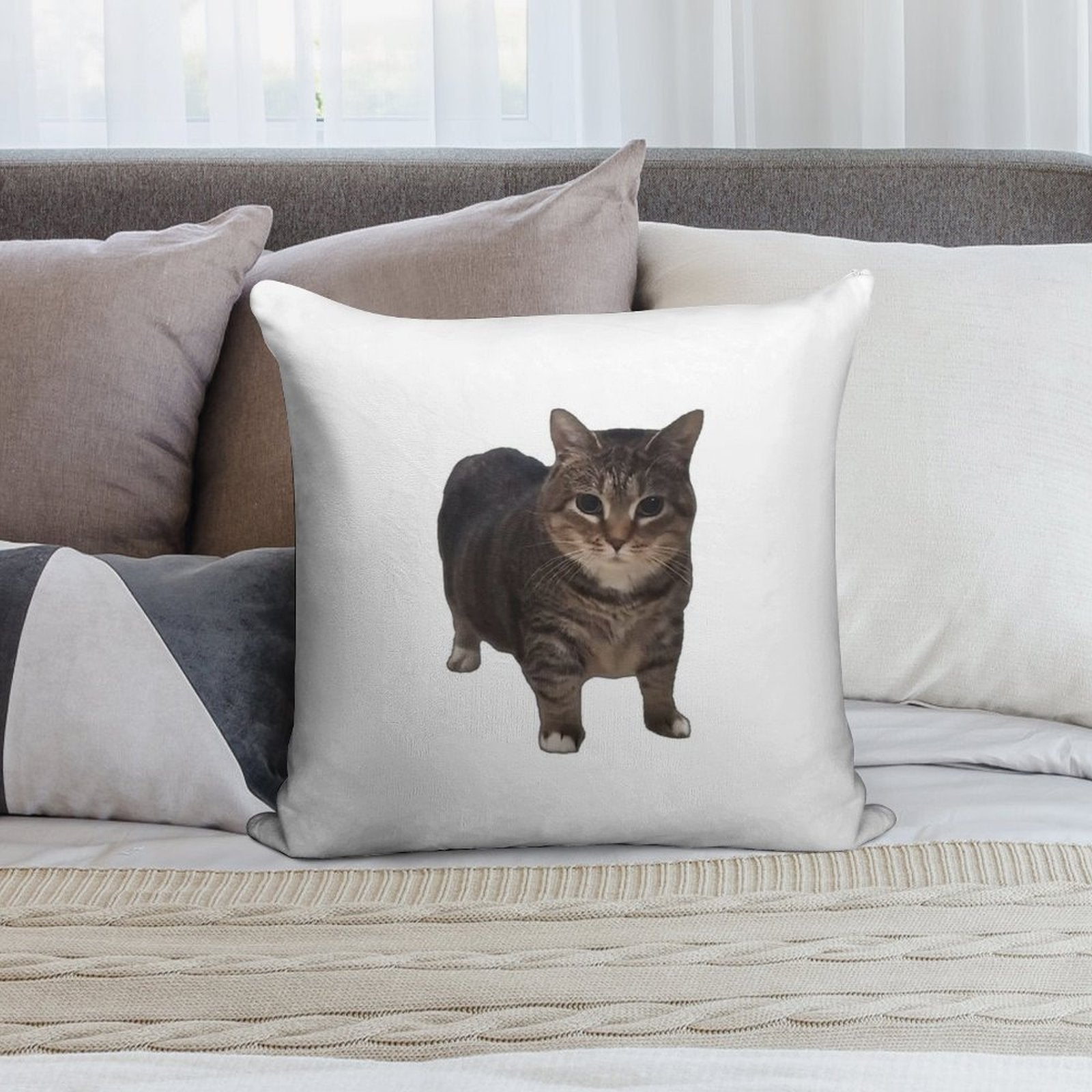 Spinning Oiia Oiia Cat Soft Shrink-Resistant Throw Pillow