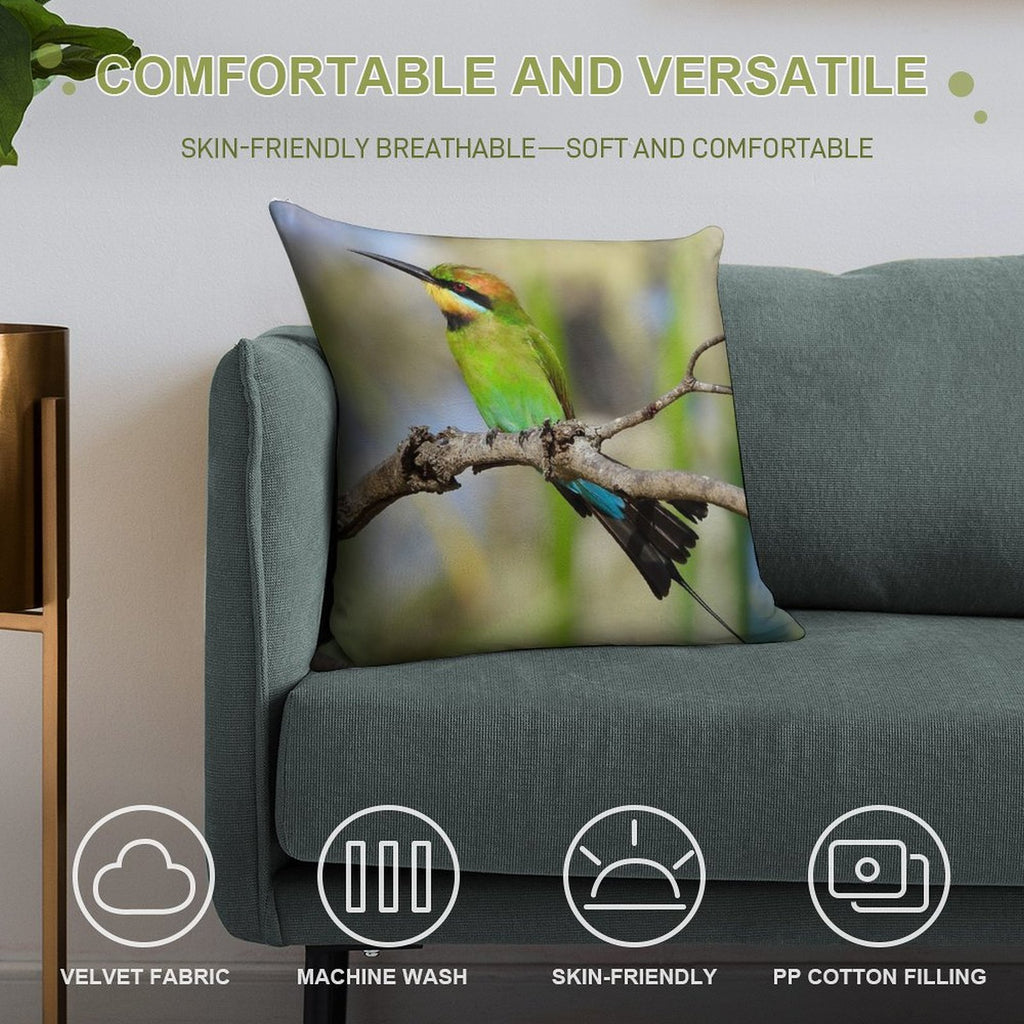 Rainbow Bee-eater Colourful Display Soft Shrink-Resistant Throw Pillow
