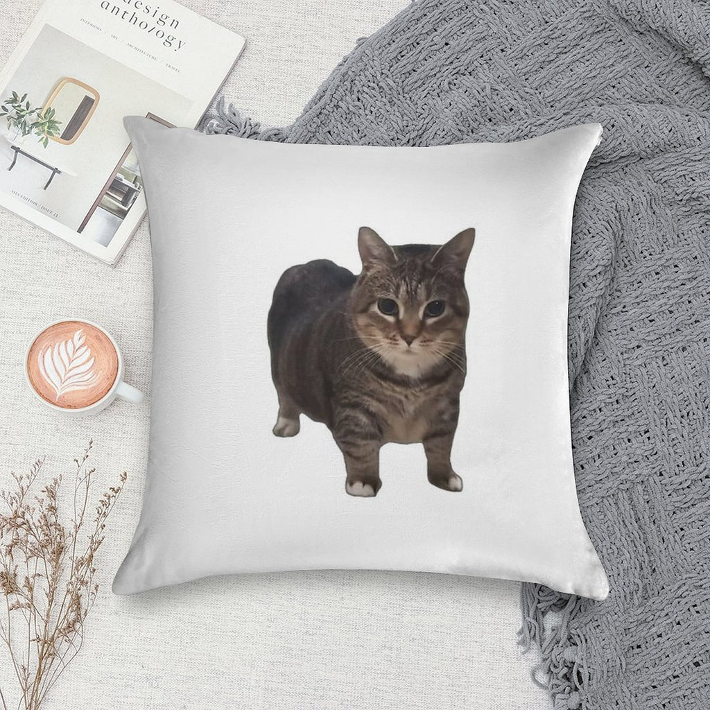 Spinning Oiia Oiia Cat Soft Shrink-Resistant Throw Pillow