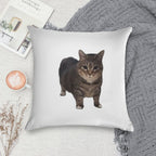 Spinning Oiia Oiia Cat Soft Shrink-Resistant Throw Pillow