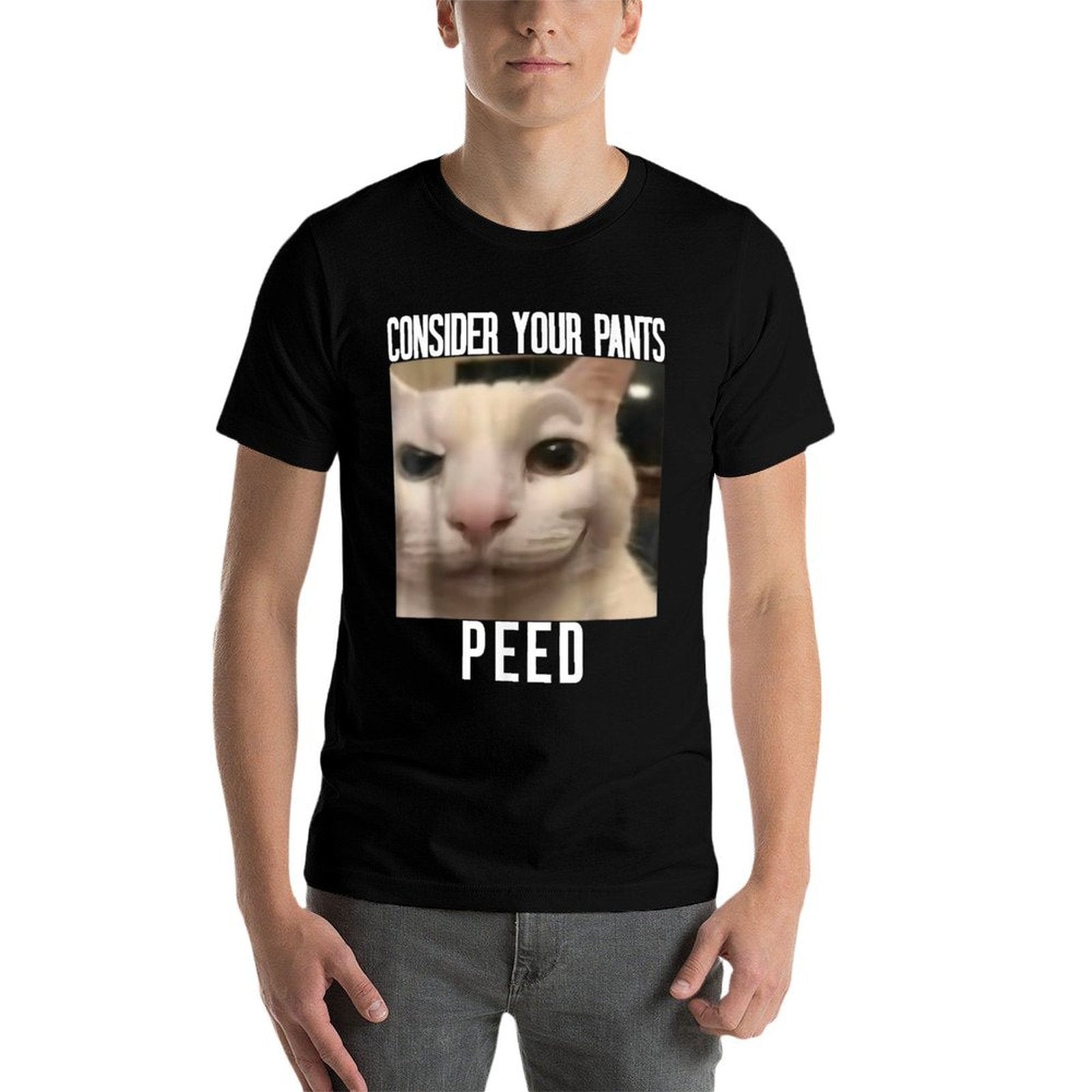 Consider Your Pants Peed Weird Cat Meme Funny Memes Brainrot  Summer-ready Fabric T-Shirt